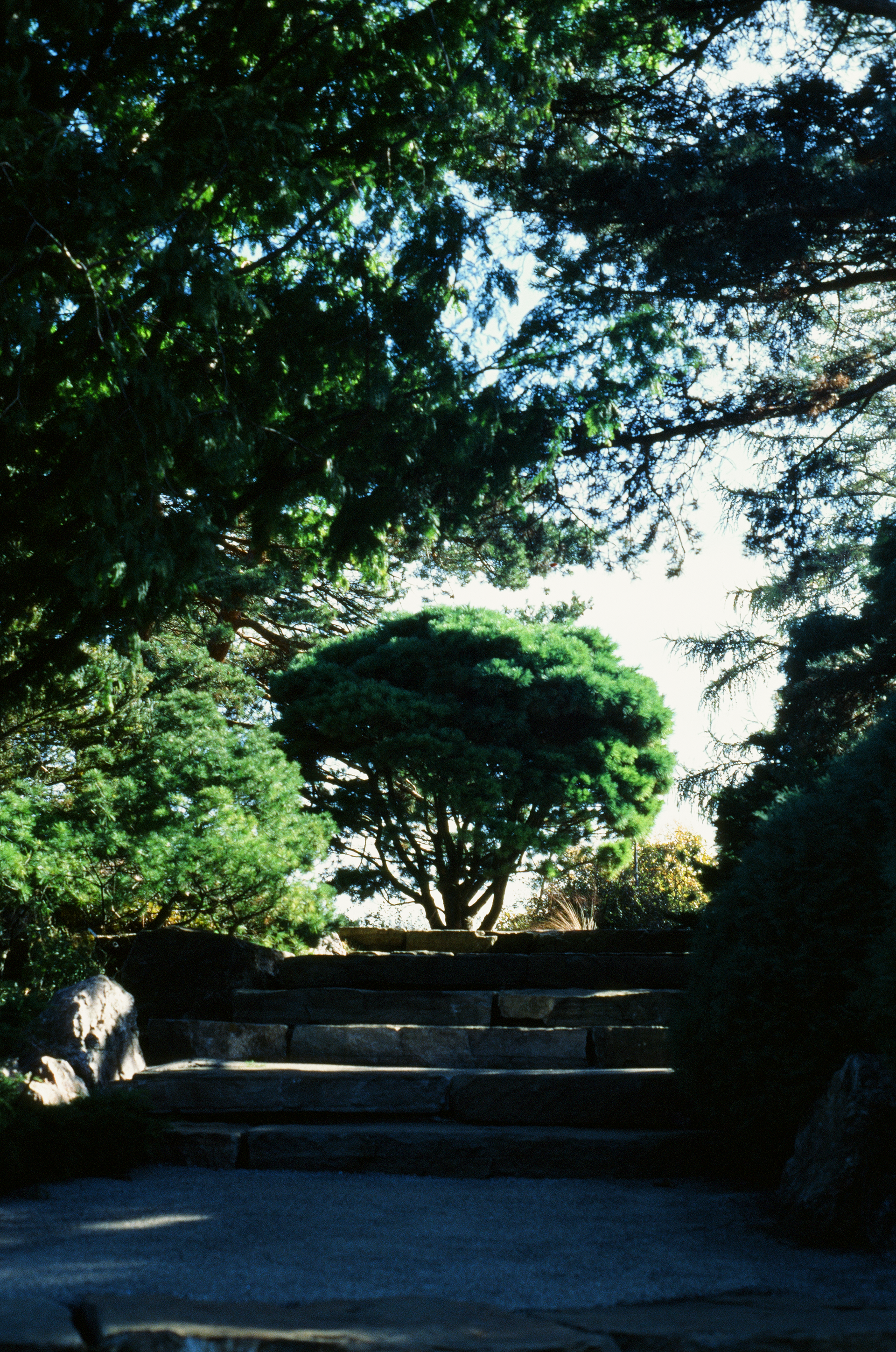 Tue, 03 Jun 2025 18:49:16 -0500