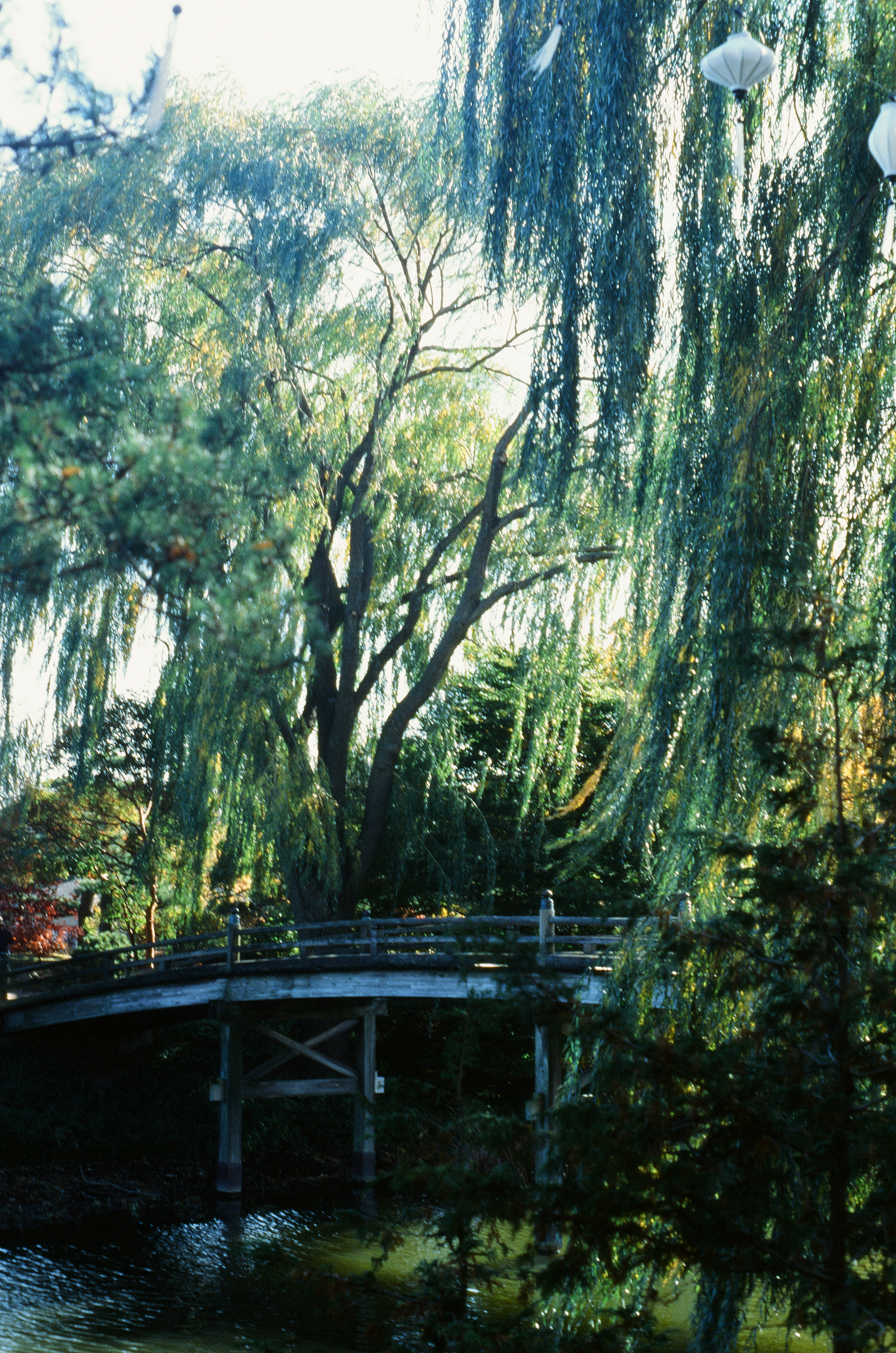 Tue, 03 Jun 2025 18:50:13 -0500