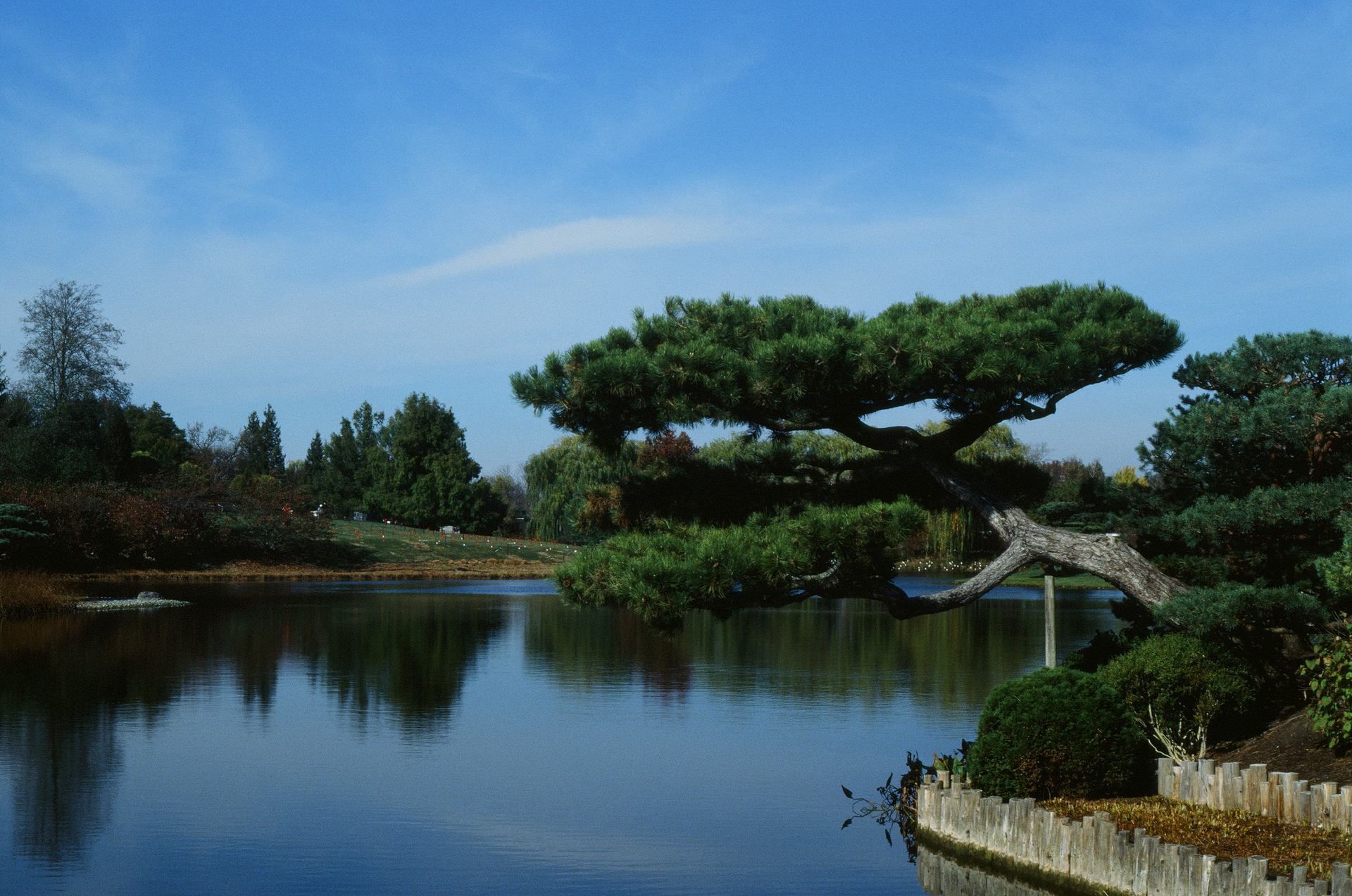 Tue, 03 Jun 2025 18:55:34 -0500