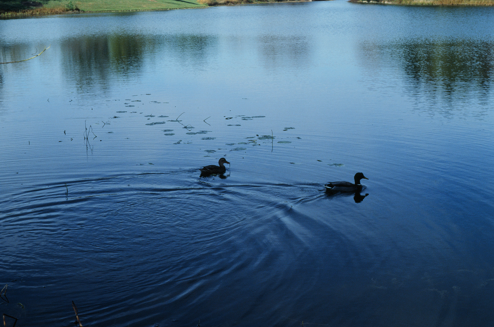 Tue, 03 Jun 2025 18:58:03 -0500