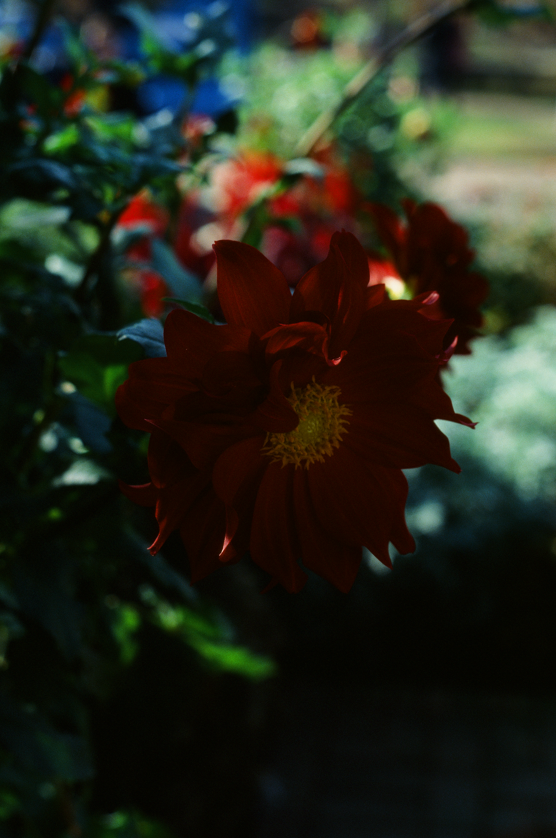 Tue, 03 Jun 2025 18:59:22 -0500