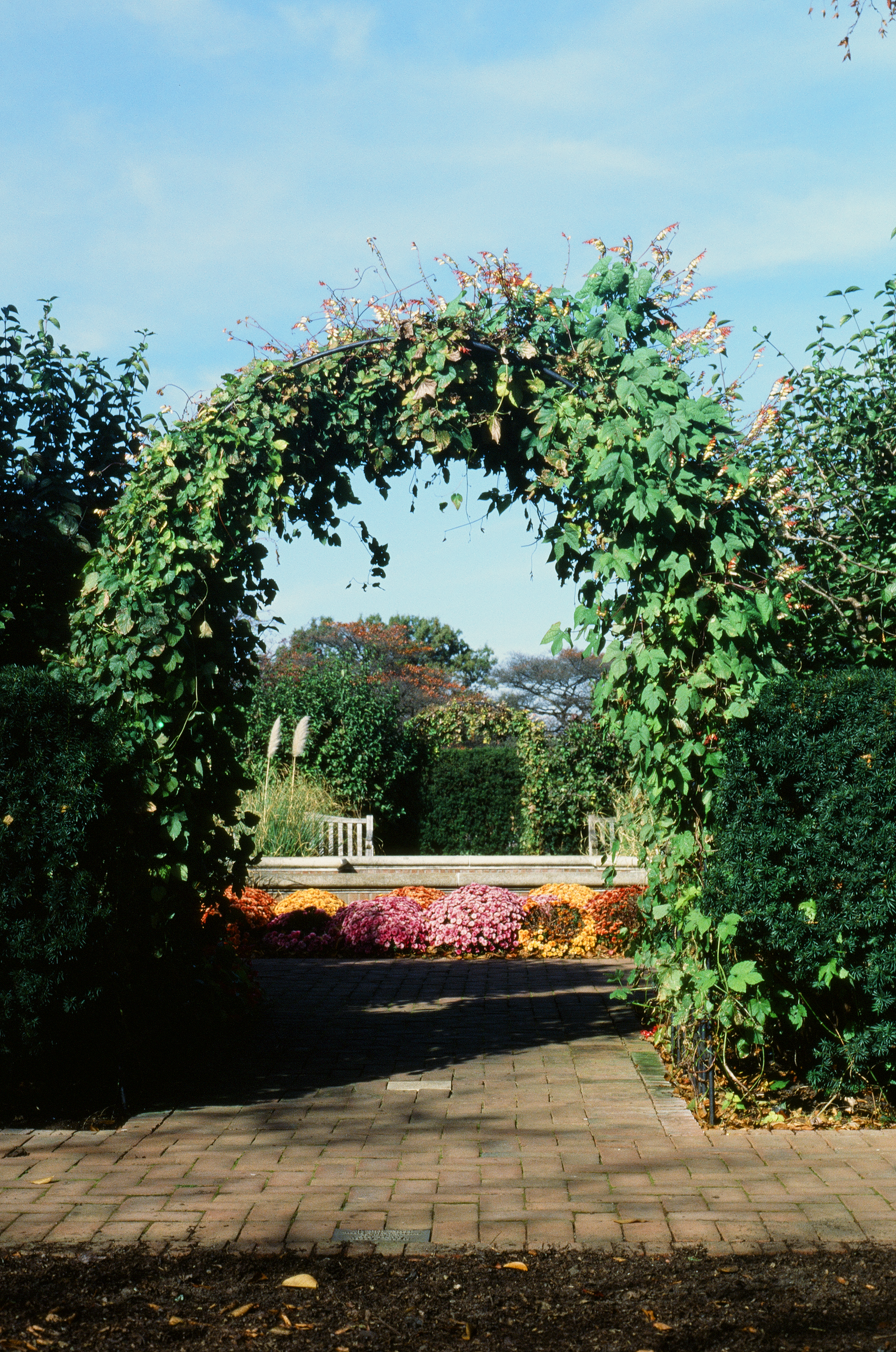 Tue, 03 Jun 2025 18:59:47 -0500