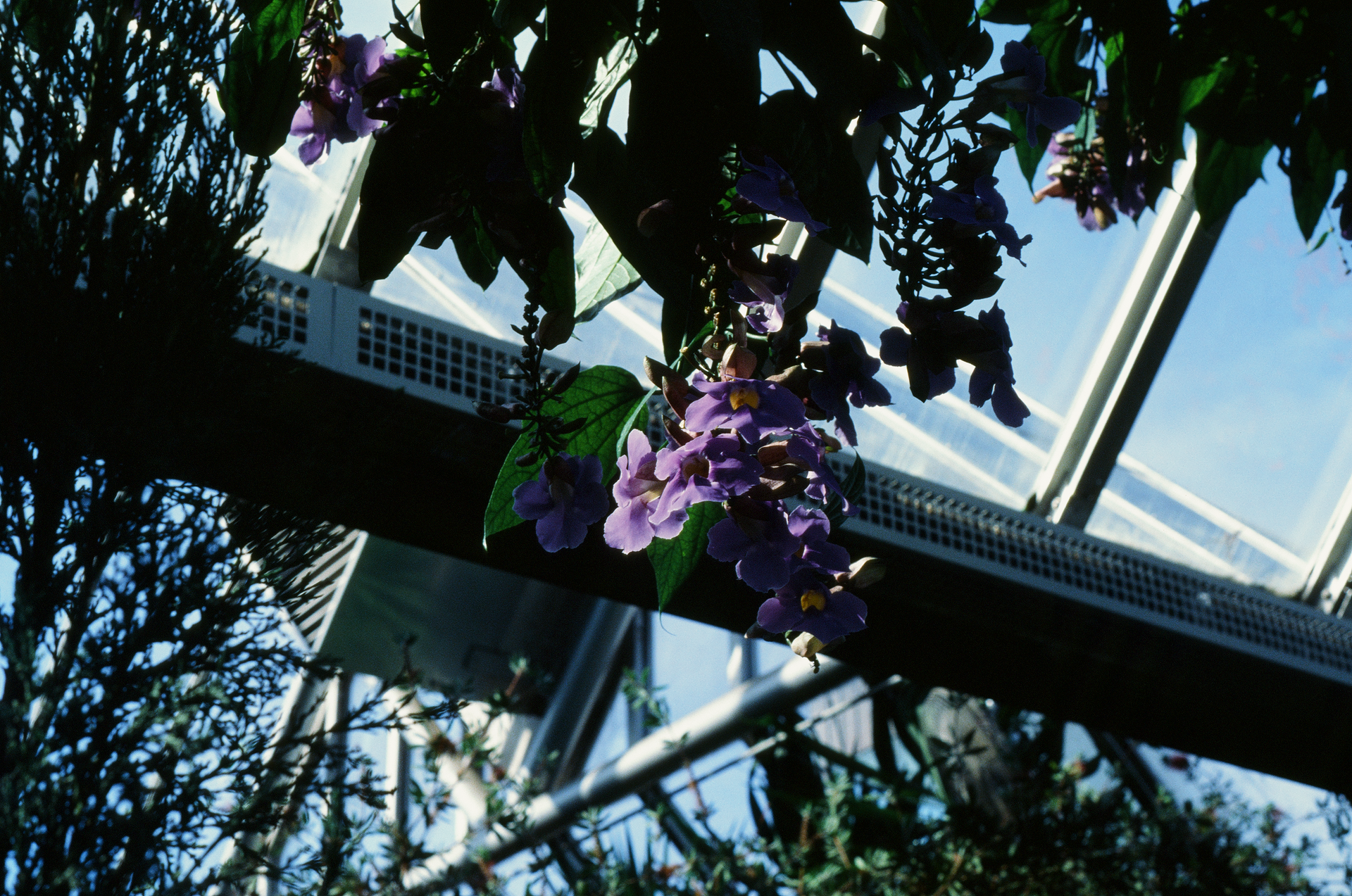 Tue, 03 Jun 2025 18:59:57 -0500