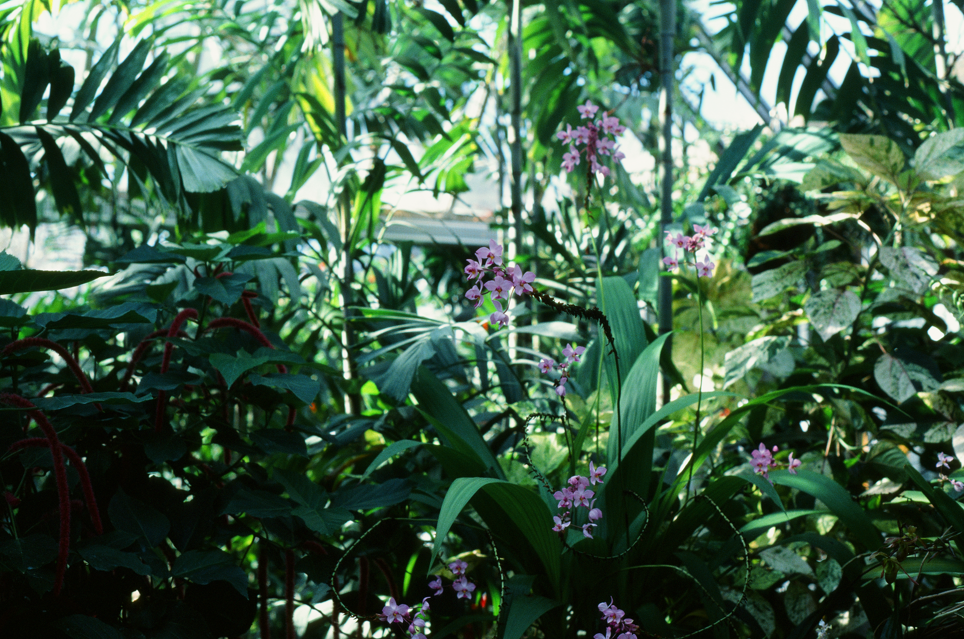 Tue, 03 Jun 2025 19:00:08 -0500