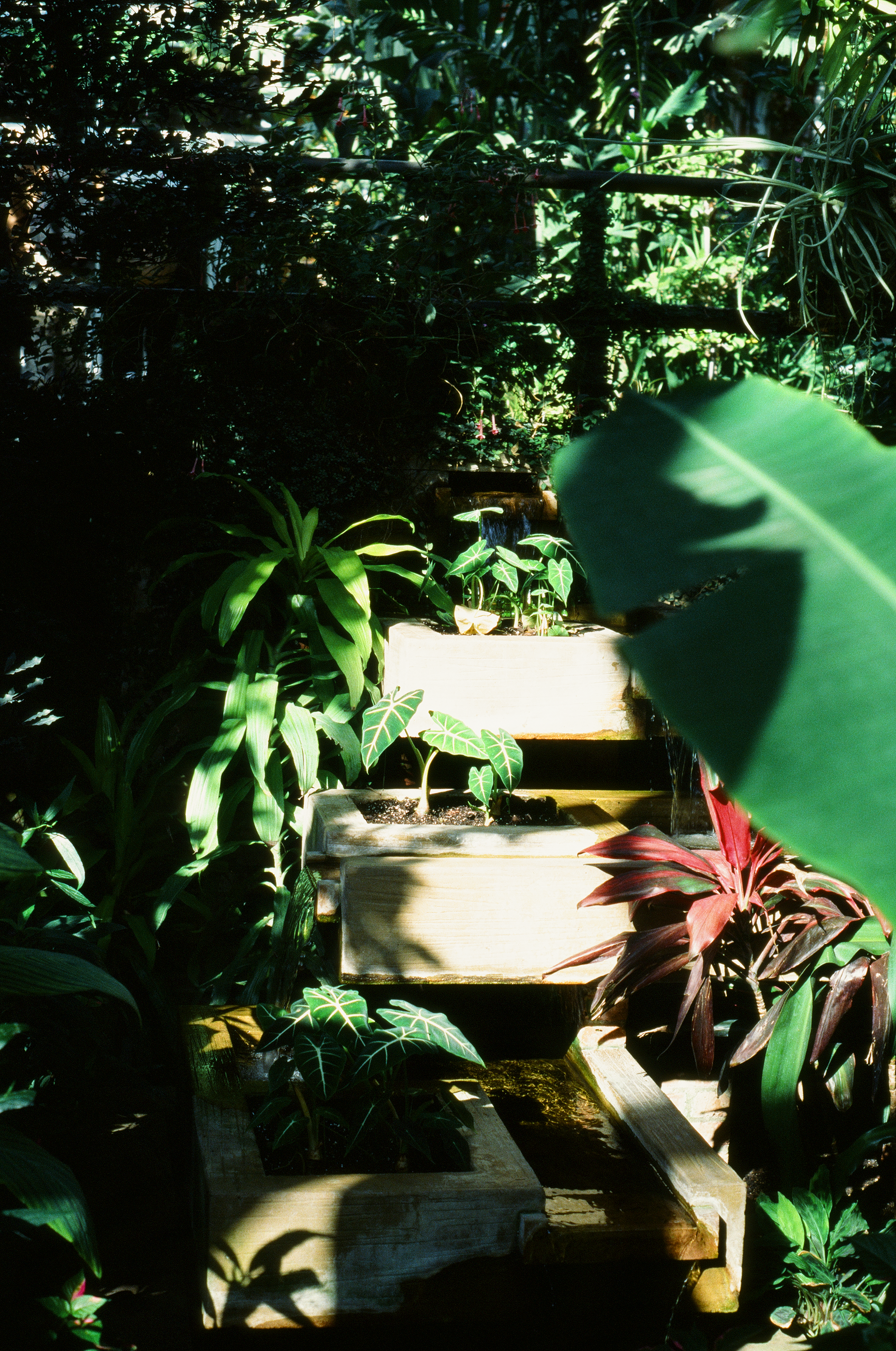 Tue, 03 Jun 2025 19:00:19 -0500