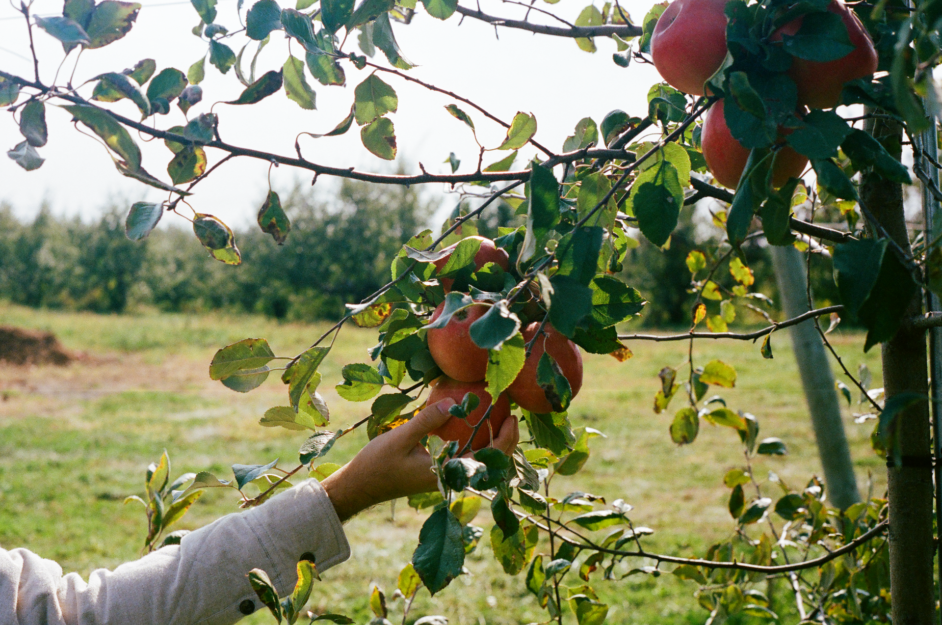 Tue, 03 Jun 2025 19:03:12 -0500