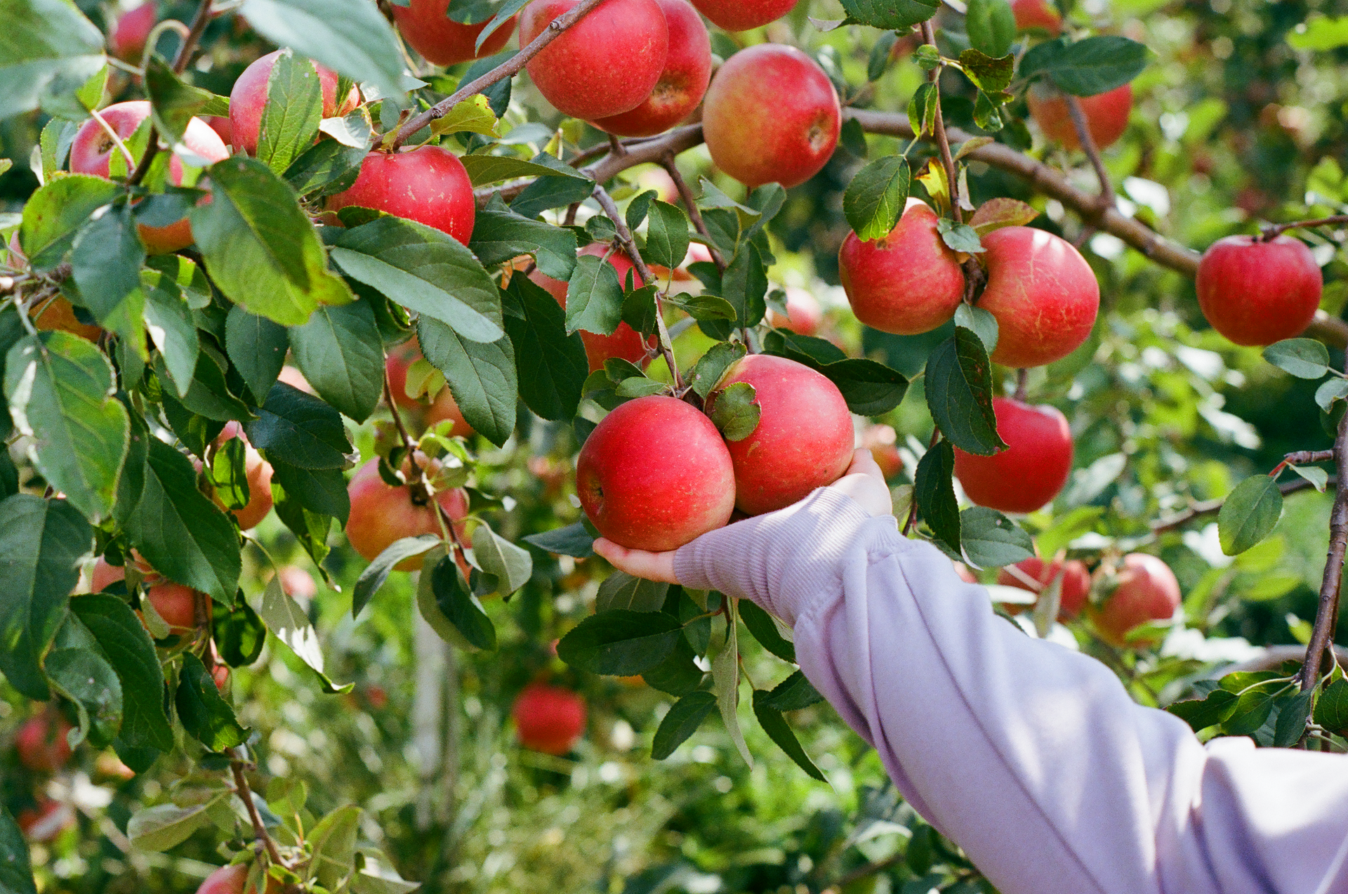 Tue, 03 Jun 2025 19:03:33 -0500