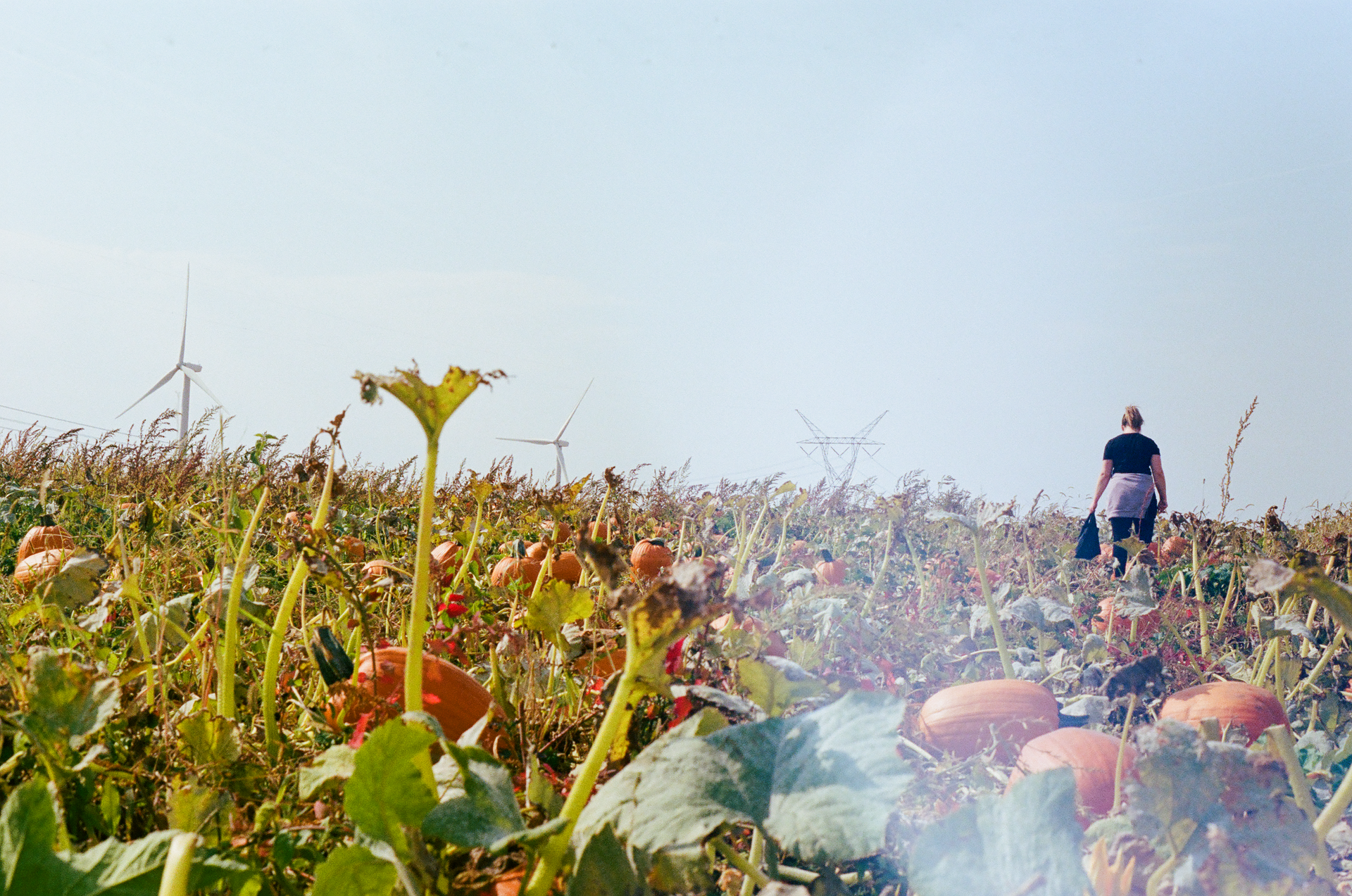 Tue, 03 Jun 2025 19:05:02 -0500