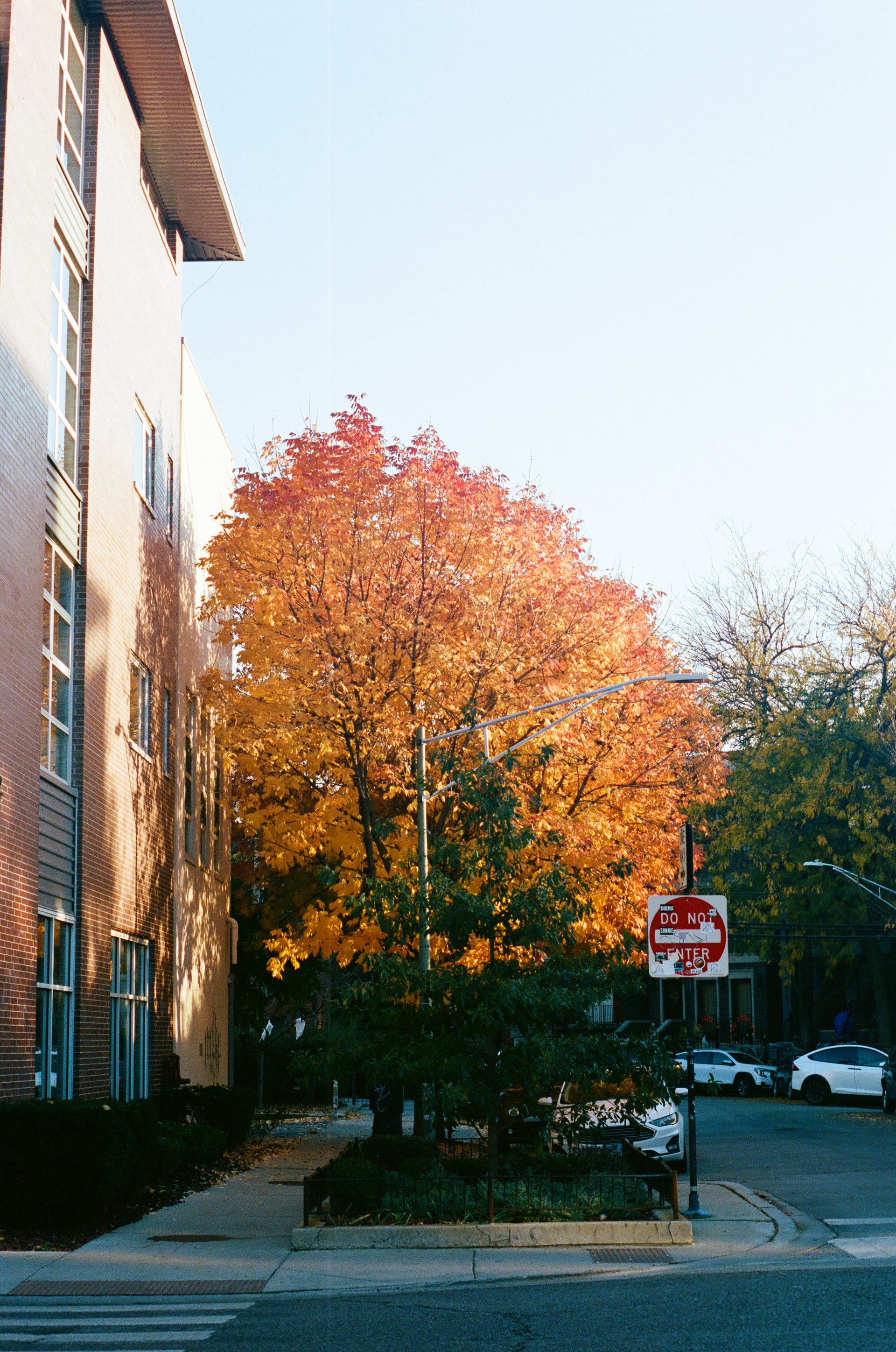 Tue, 03 Jun 2025 19:05:41 -0500