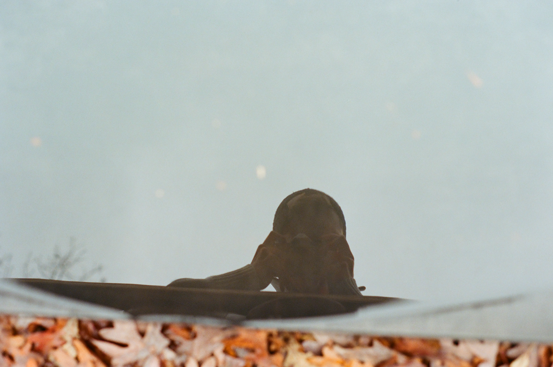 Tue, 03 Jun 2025 19:20:11 -0500