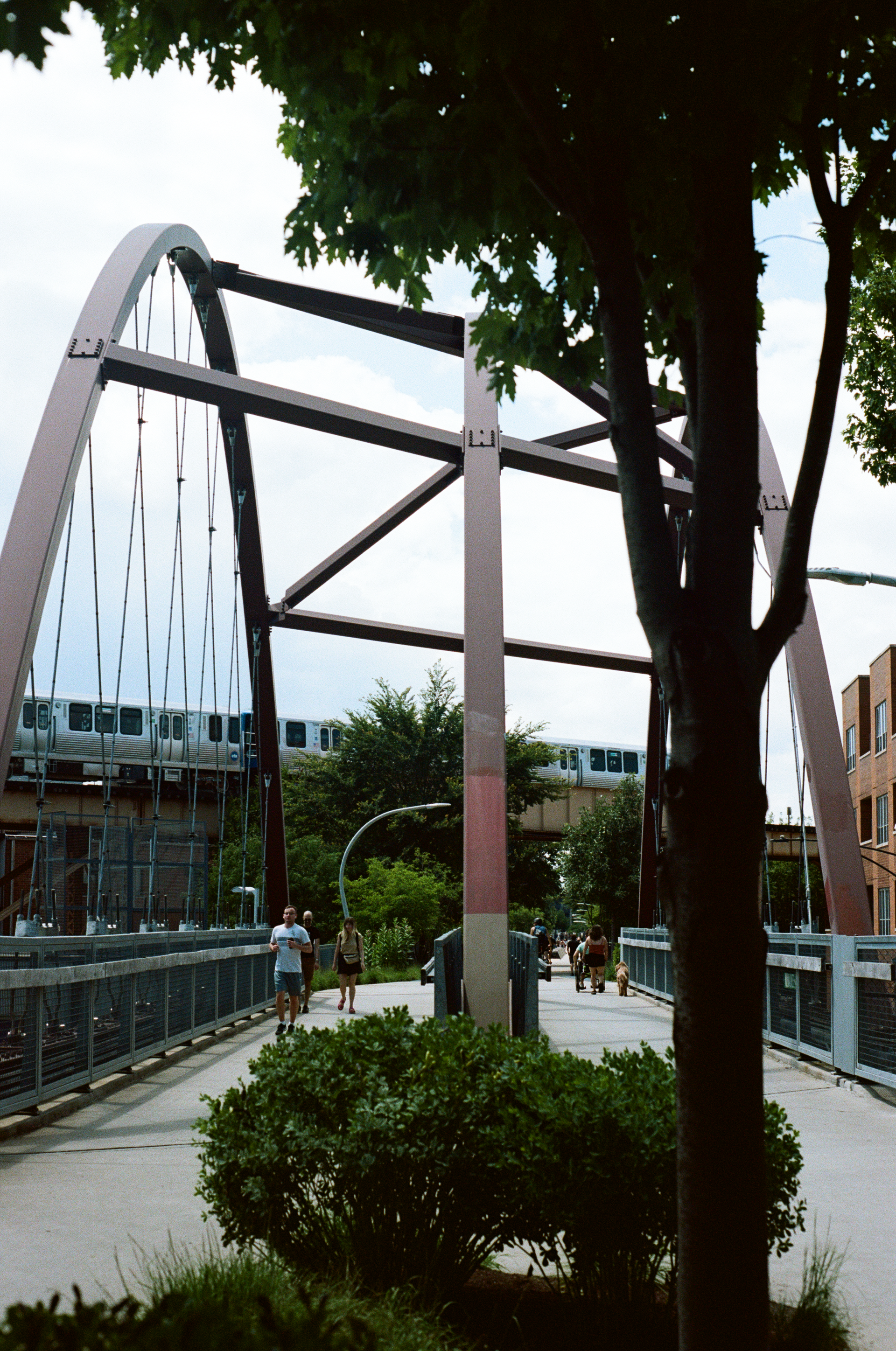 Wed, 02 Oct 2024 19:51:15 -0500