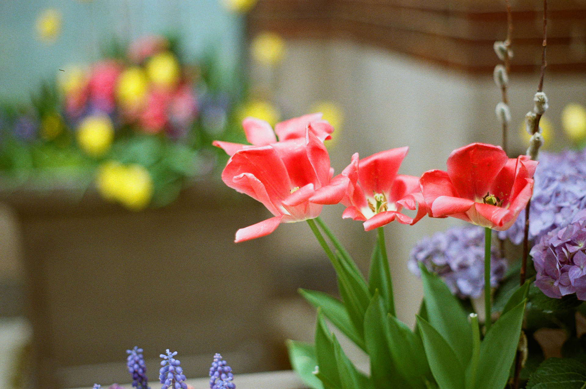 Tue, 02 Jul 2024 11:50:12 -0500