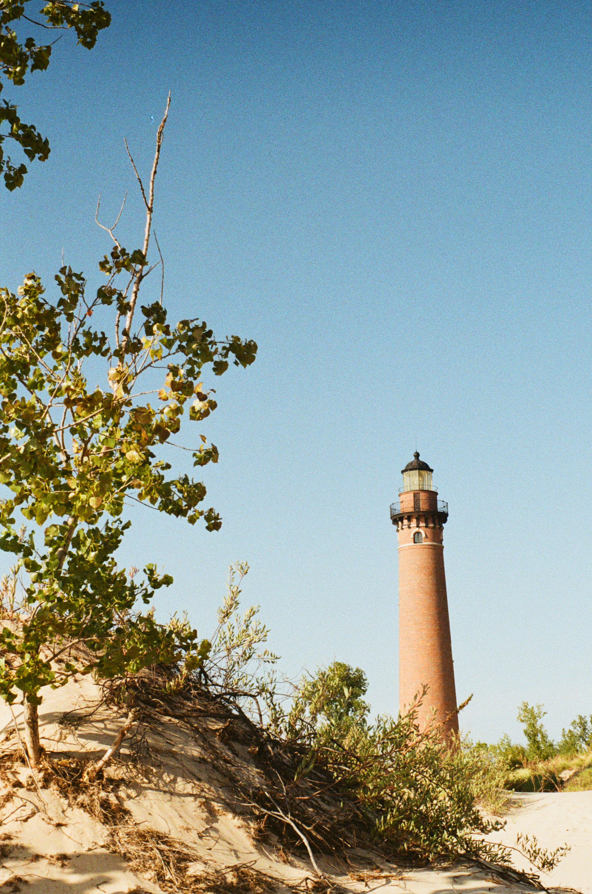 Mon, 13 Jan 2025 20:49:07 -0600