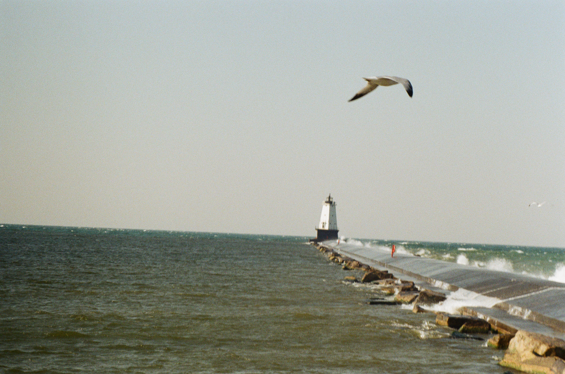 Mon, 13 Jan 2025 20:49:39 -0600