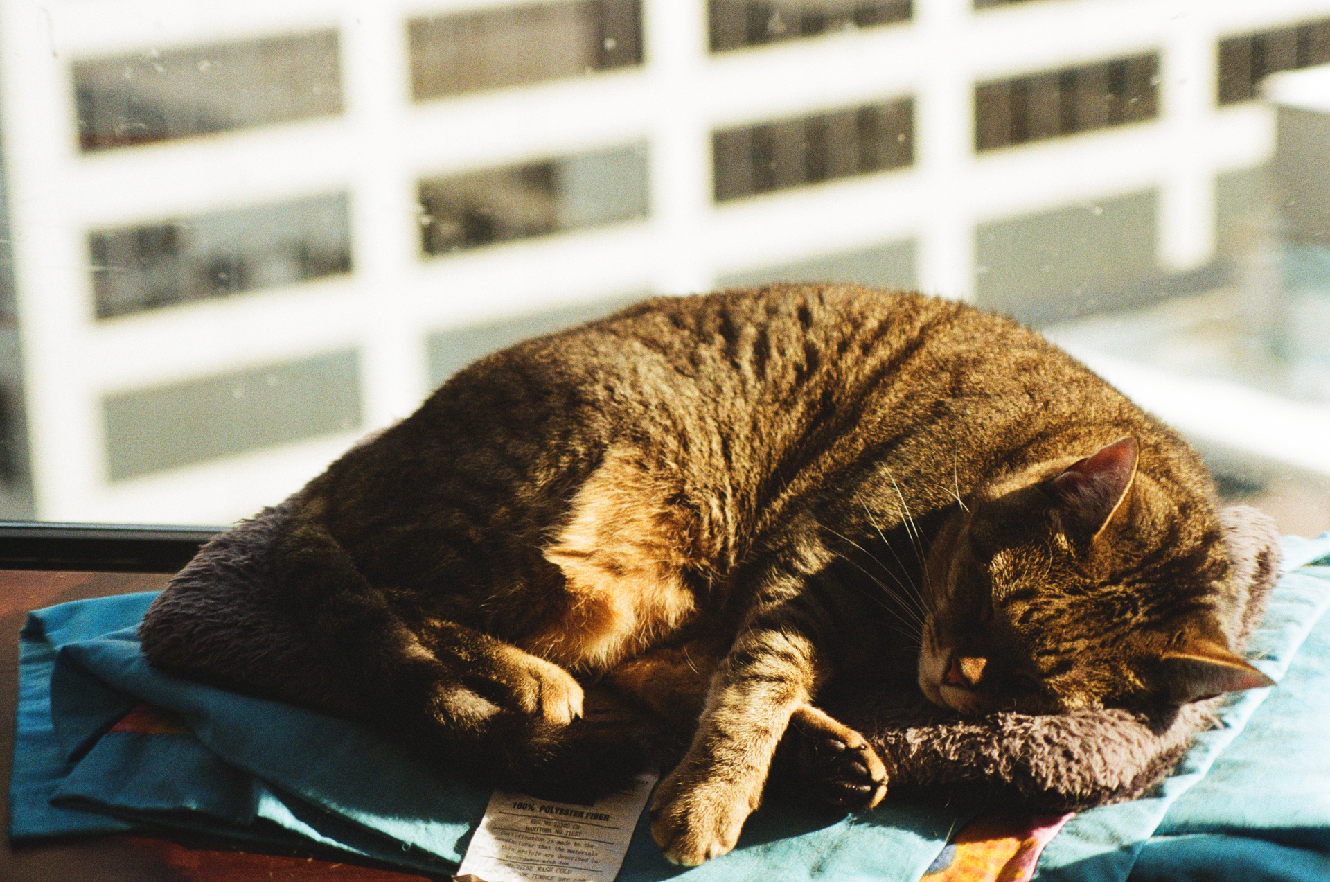 Mon, 13 Jan 2025 20:50:20 -0600