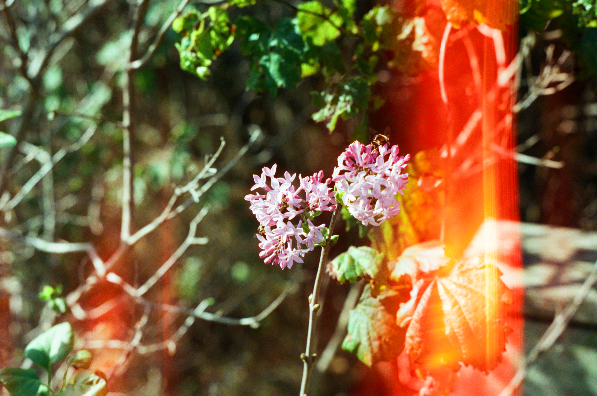 Mon, 13 Jan 2025 20:50:54 -0600