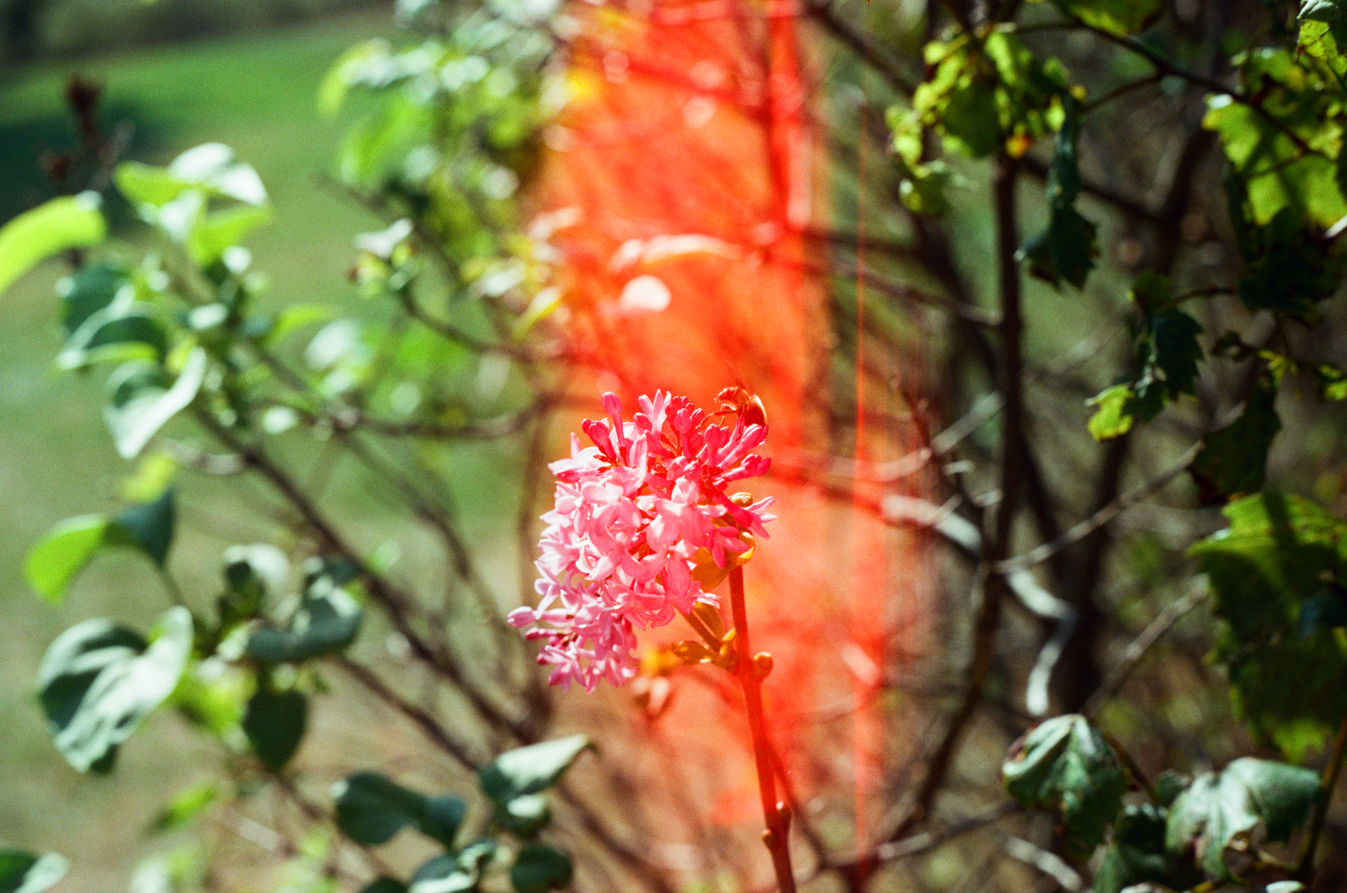 Mon, 13 Jan 2025 20:51:05 -0600