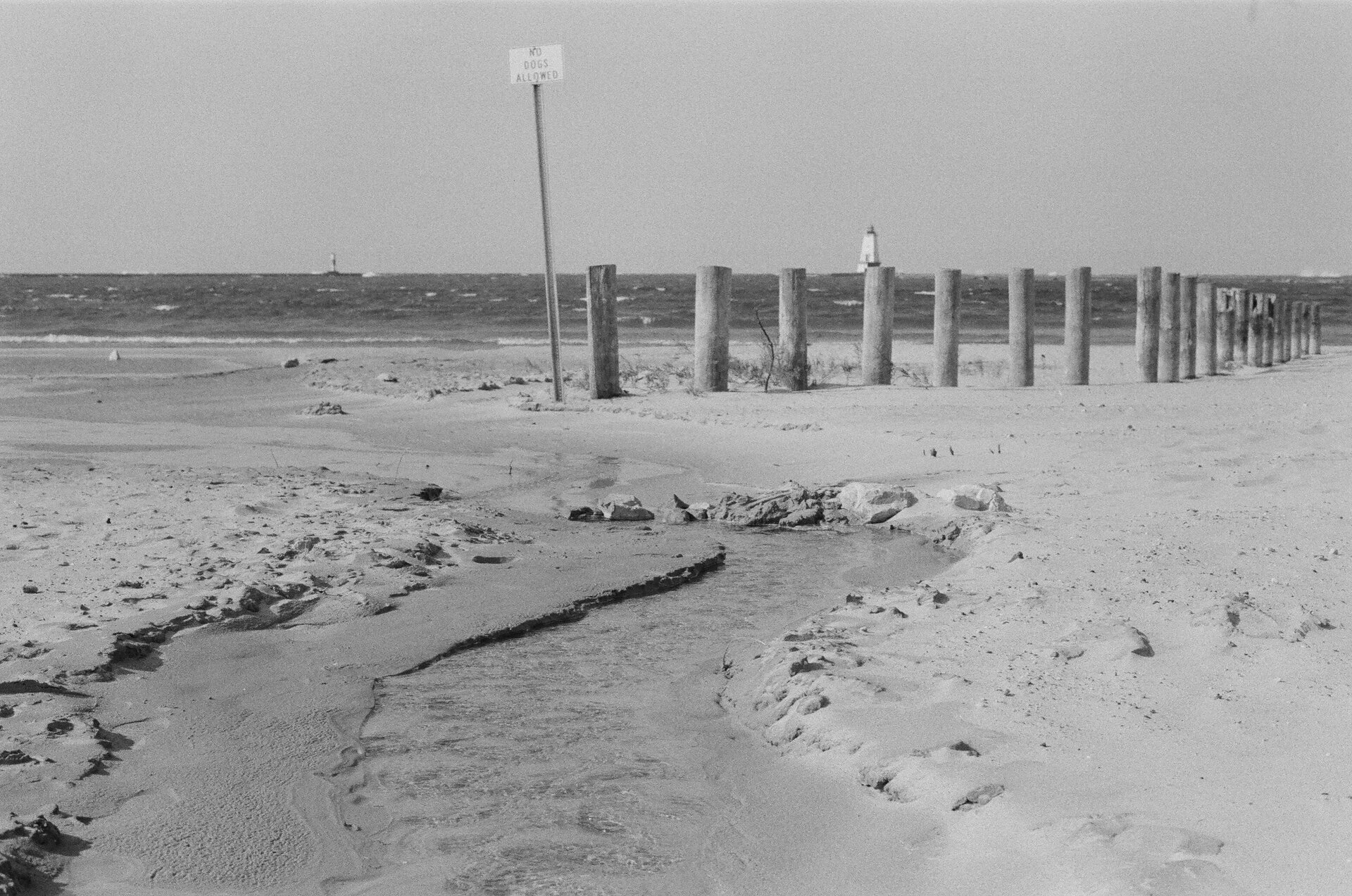 Mon, 13 Jan 2025 20:56:08 -0600