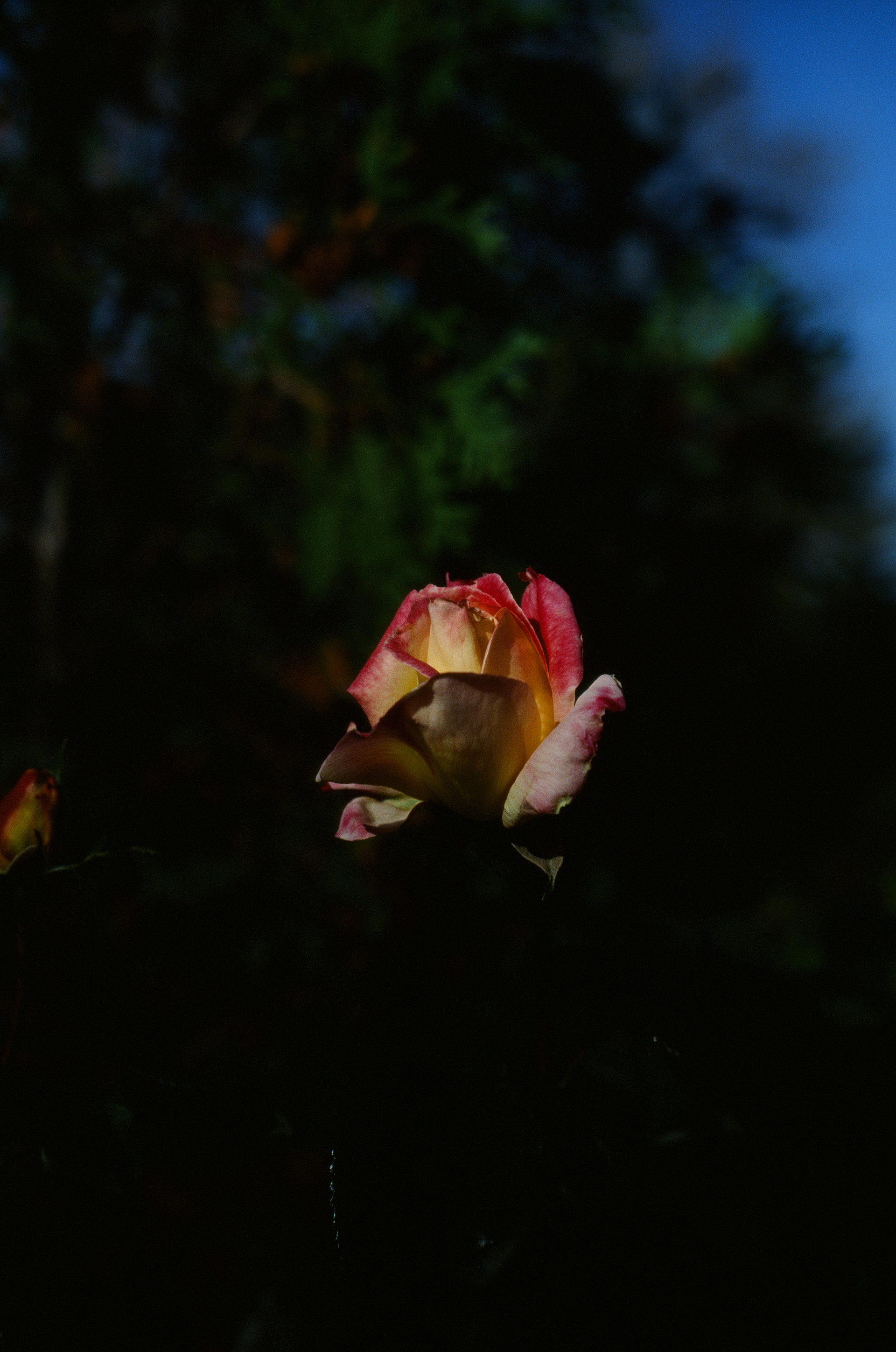 Tue, 03 Jun 2025 18:47:02 -0500