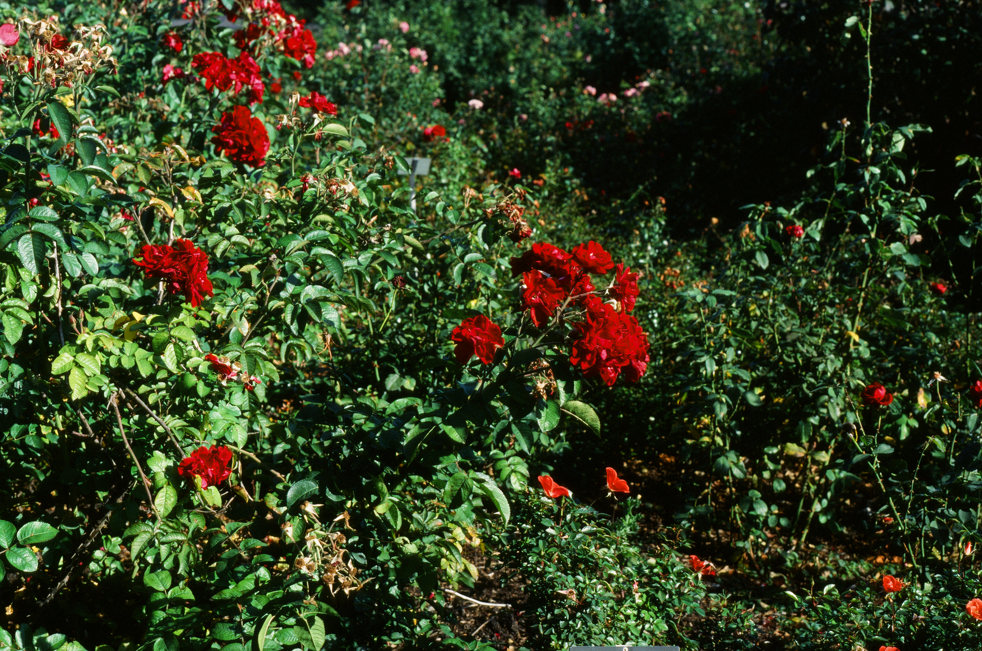 Tue, 03 Jun 2025 18:47:30 -0500