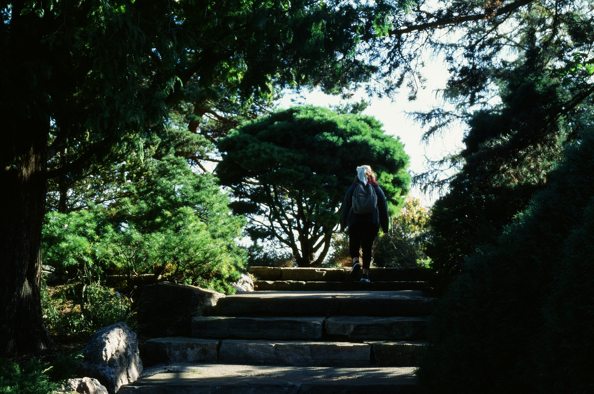 Tue, 03 Jun 2025 18:47:48 -0500