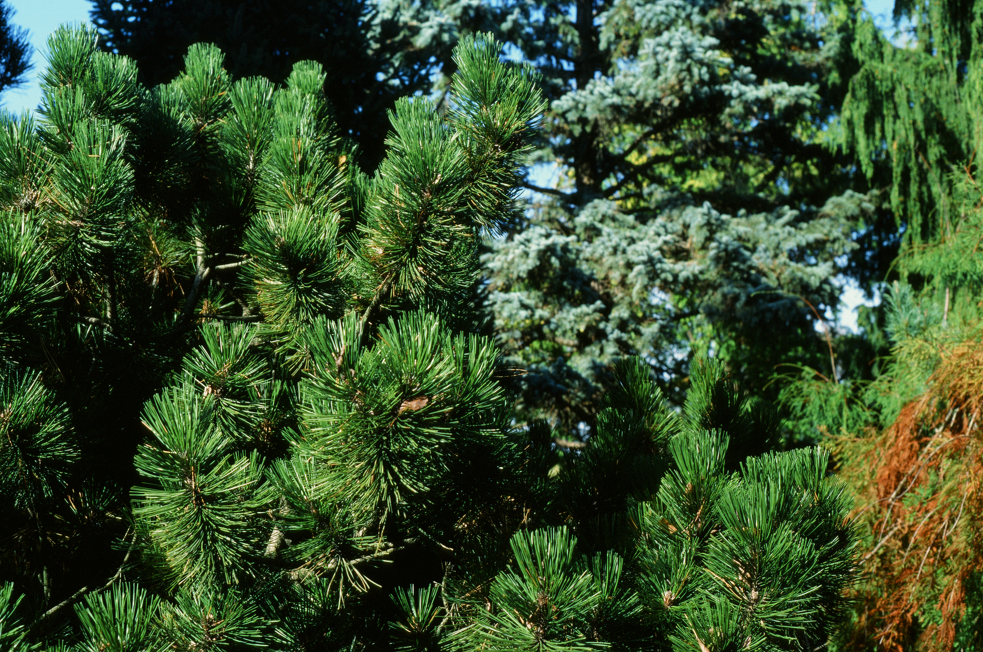 Tue, 03 Jun 2025 18:49:07 -0500